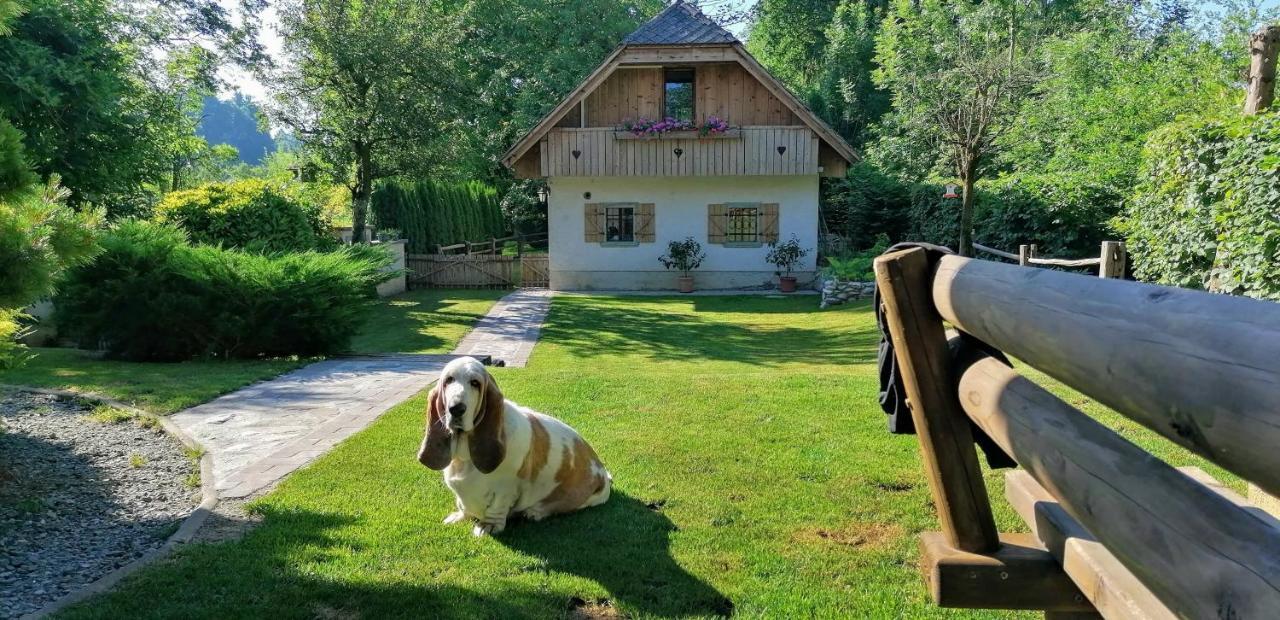 Vila Jana Radovljica Buitenkant foto